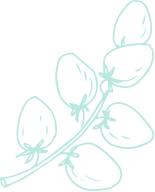 Home Health Coach shape-33