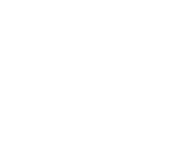 Shape 46