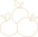 Home Health Coach health-shape-33.png
