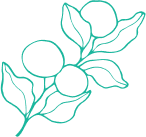 Home Health Coach health-shape-fruit.png